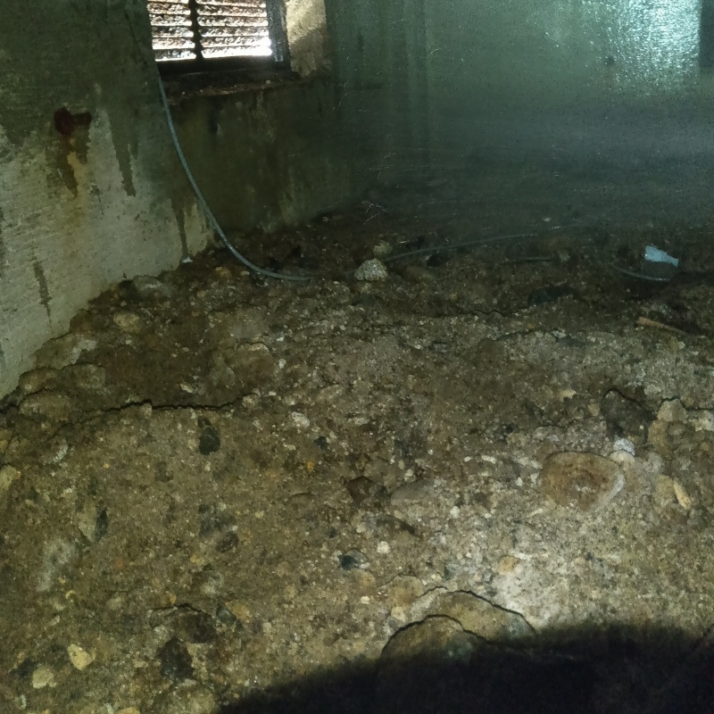 土壌処理が完了した様子