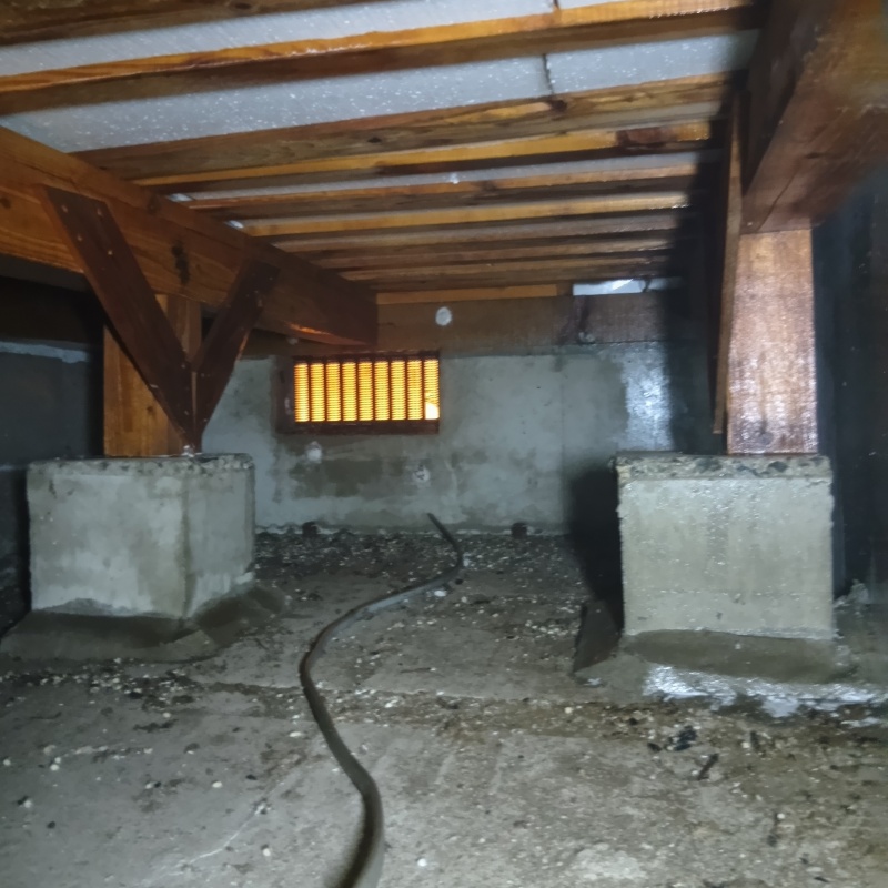 地面・基礎にシロアリ駆除剤を散布した様子