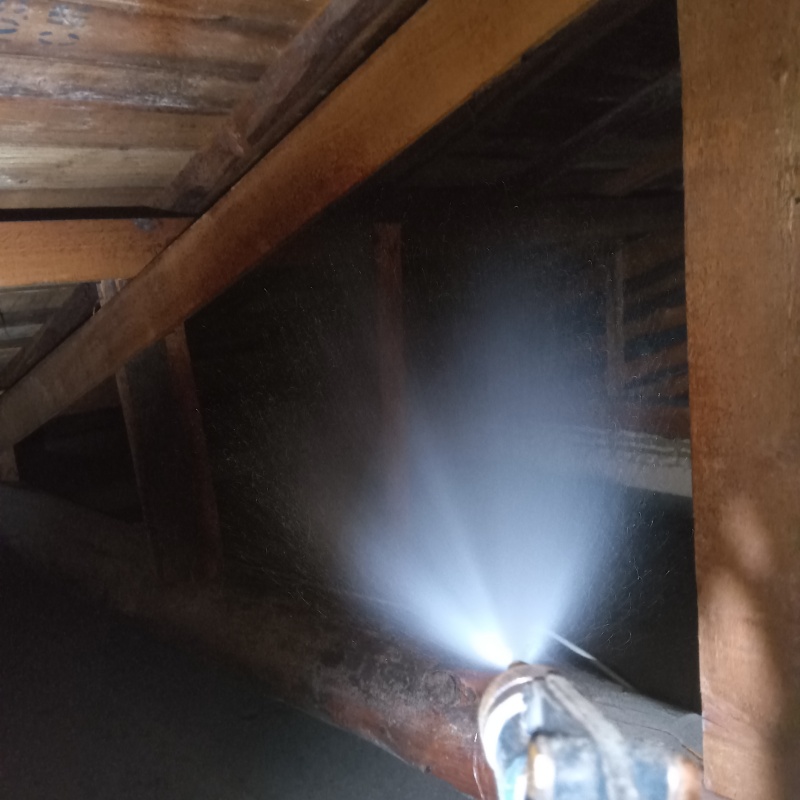 屋根裏の木材にシロアリ駆除剤を散布