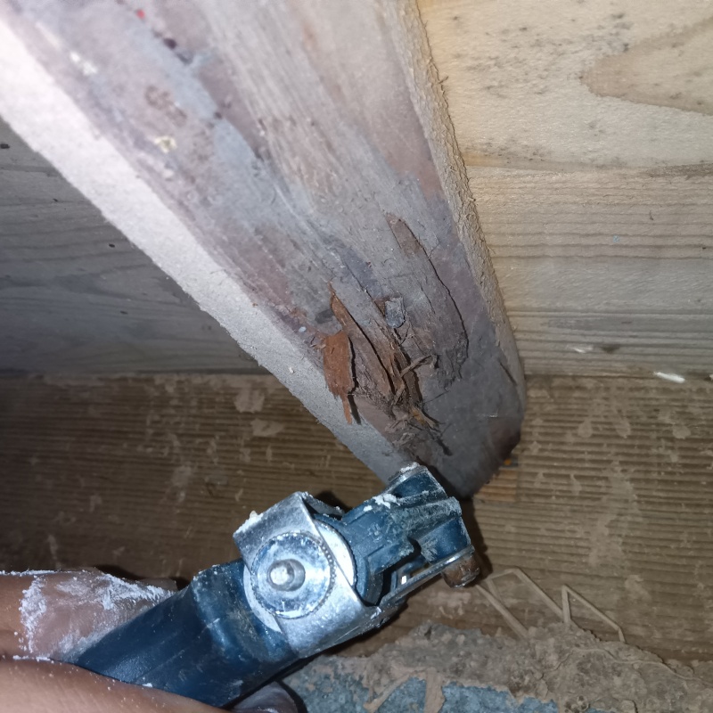 傷んだ木材に穴を開けてシロアリ駆除剤を注入