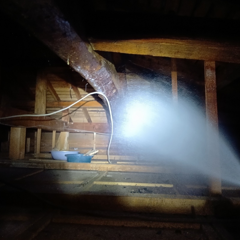 屋根裏の木材にシロアリ駆除剤を散布