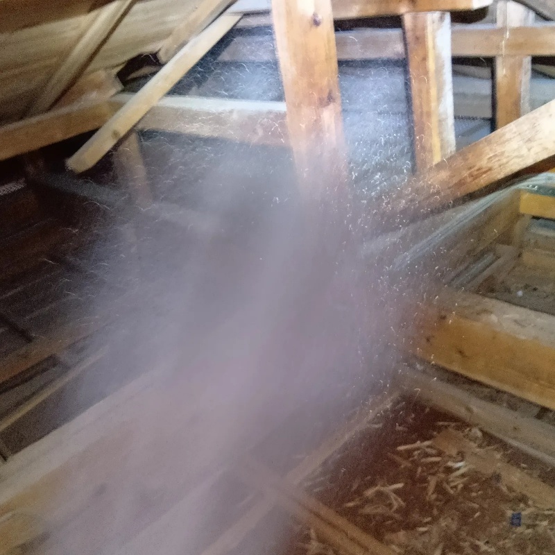 屋根裏の木材にシロアリ駆除剤を散布
