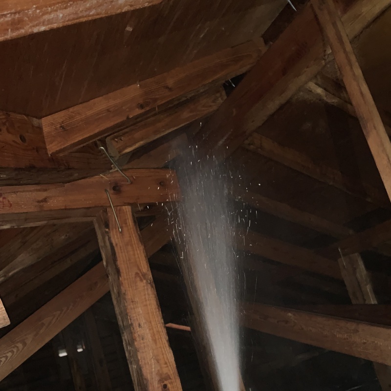 屋根裏の木材にシロアリ駆除剤を散布
