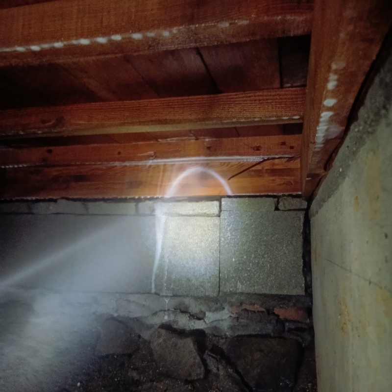 築年数45年のシロアリ駆除の施工事例（愛媛県松山市元町）