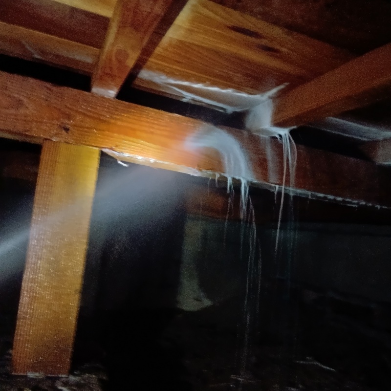 床下木材にシロアリ駆除剤を散布