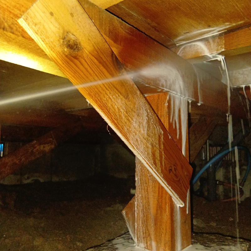 床下木材にシロアリ駆除剤を吹き付けている様子