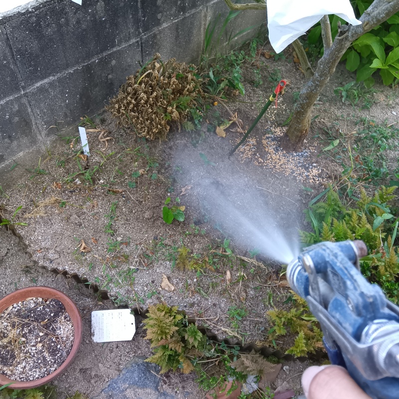 建物外周の土壌にシロアリ駆除剤を散布