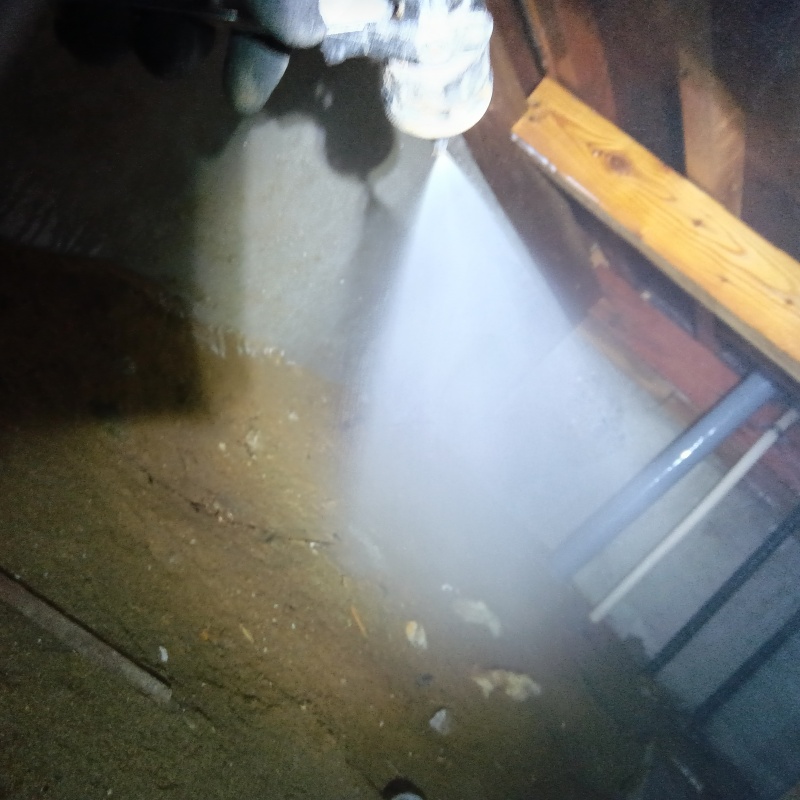 地面にシロアリ駆除剤を散布