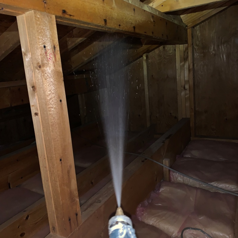 屋根裏の木材にシロアリ駆除剤を散布
