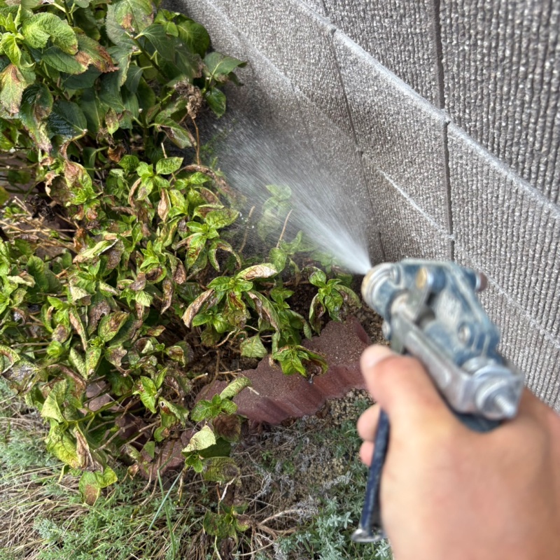 建物外周の土壌にシロアリ駆除剤を散布