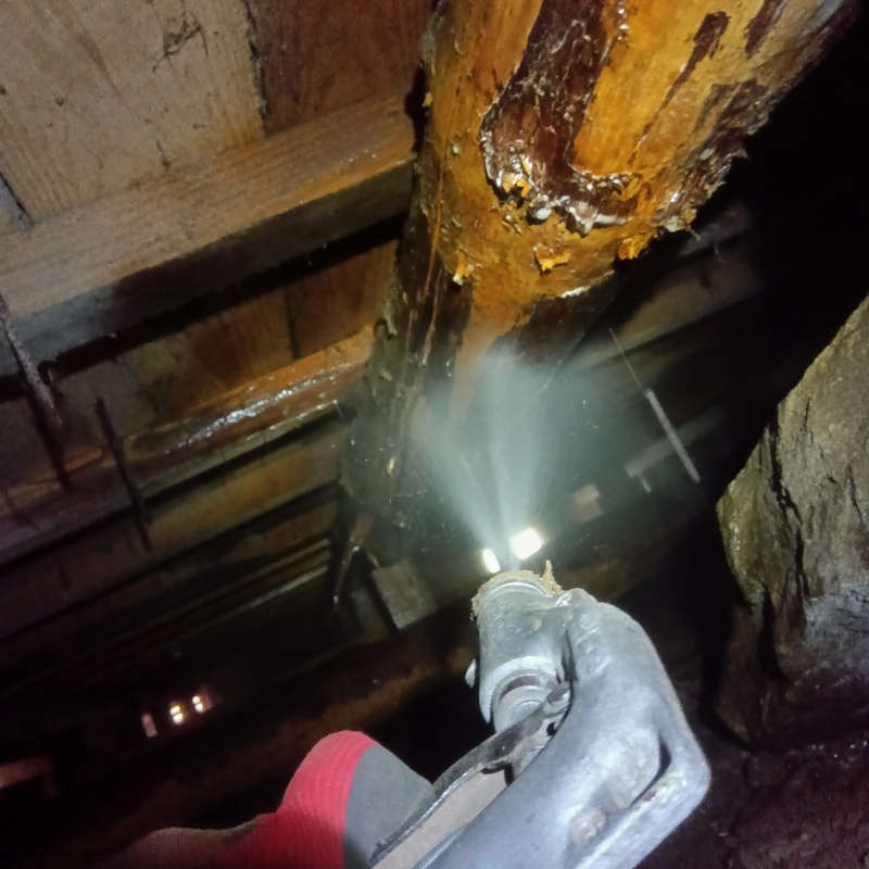 築年数100年のシロアリ駆除の施工事例（長野県大町市平）