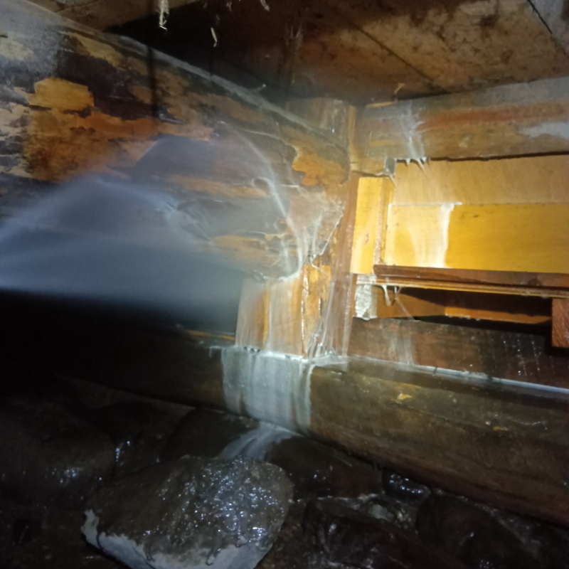 床下木材にシロアリ駆除剤を吹き付ける様子