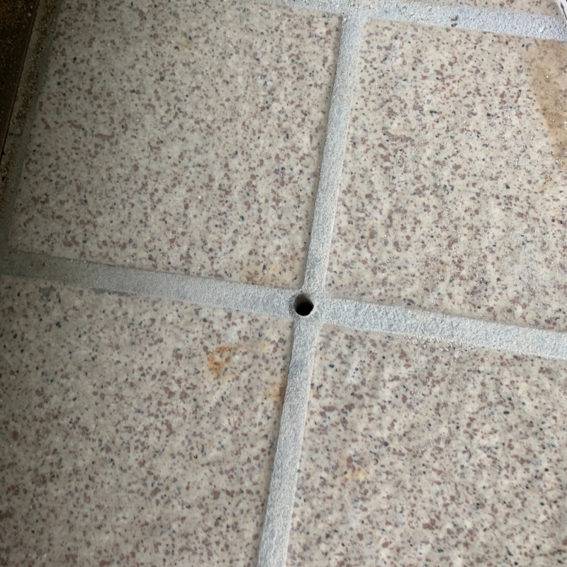 シロアリ駆除剤を注入するための穴を開けた様子