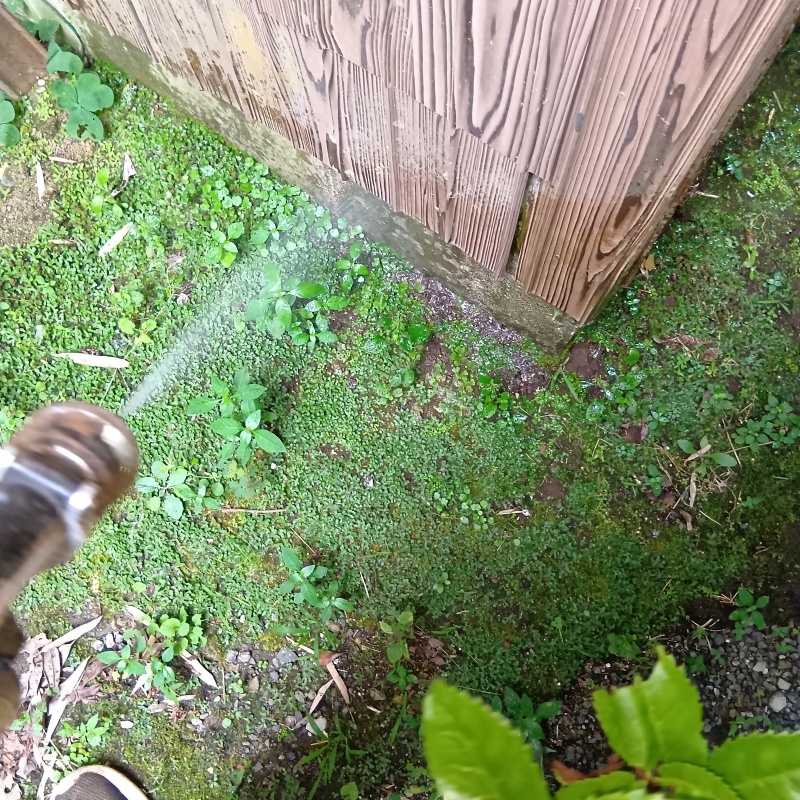 建物外周の土壌にシロアリ駆除剤を散布