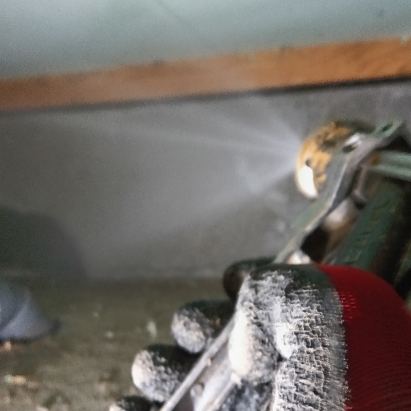 基礎にシロアリ駆除剤を吹き付ける様子