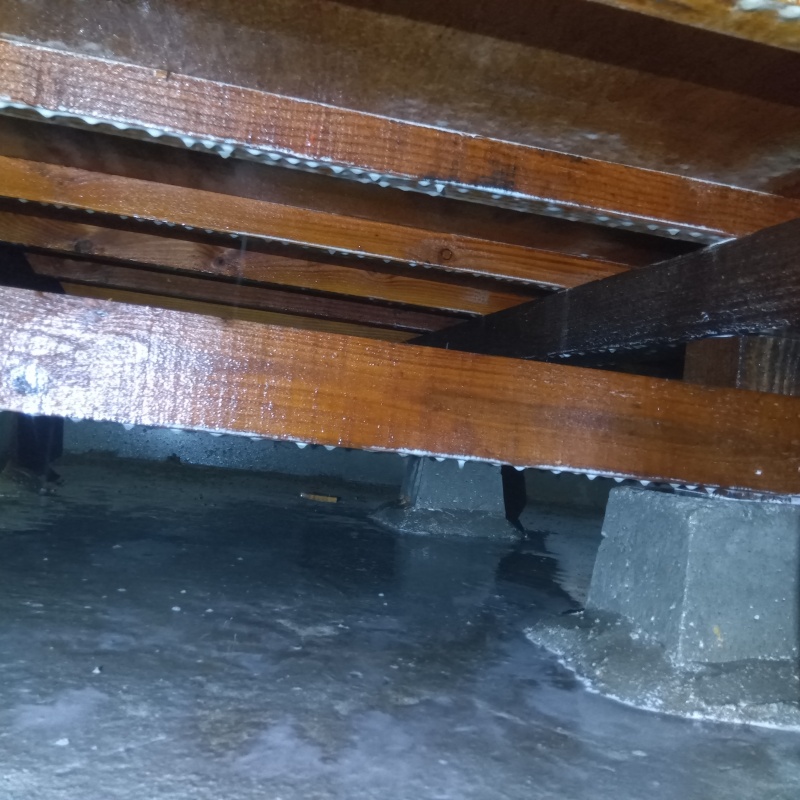 地面・基礎にシロアリ駆除剤を散布した様子