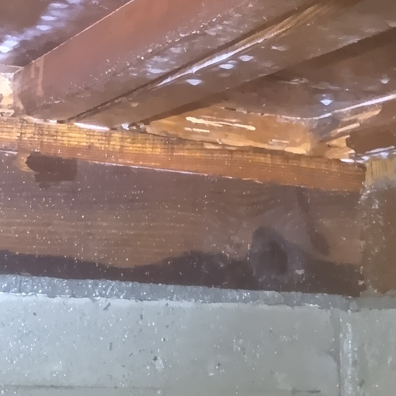 床下木材にシロアリ駆除剤を散布