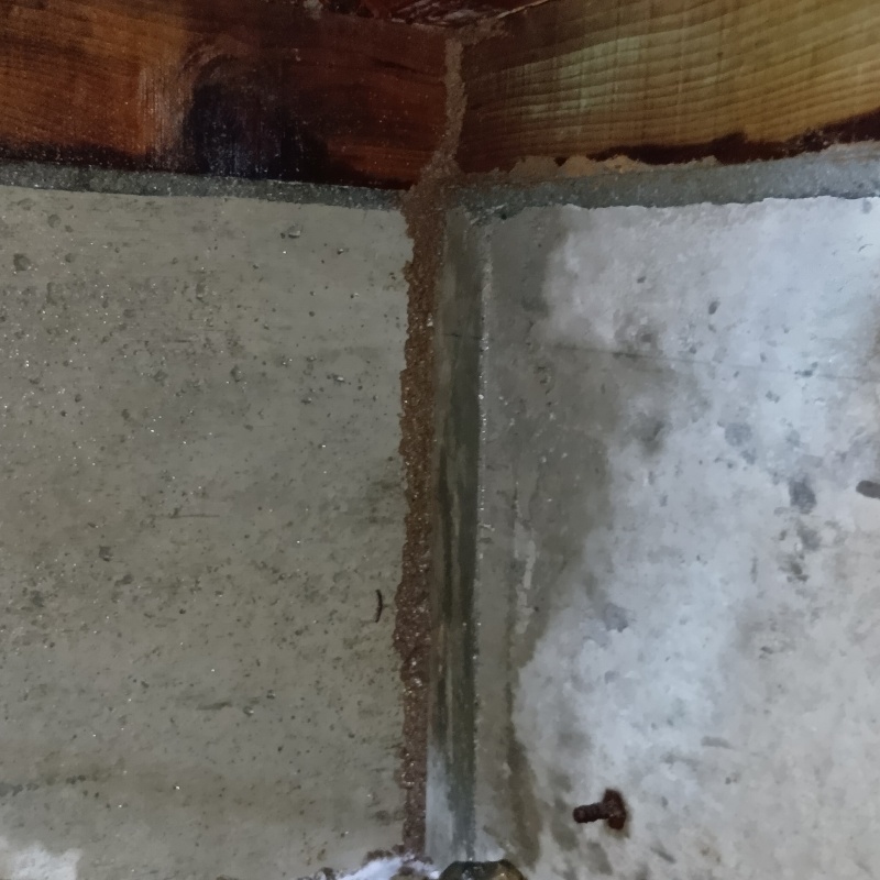 地面・基礎にシロアリ駆除剤を散布した様子
