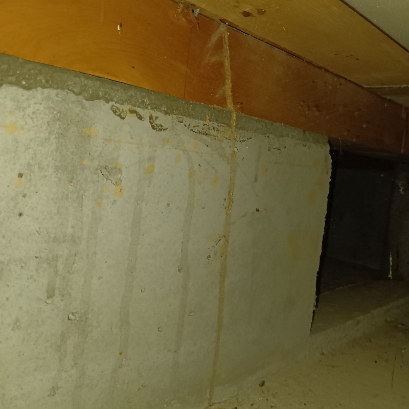 築年数20年のシロアリ駆除の施工事例（石川県能美市西任田町）