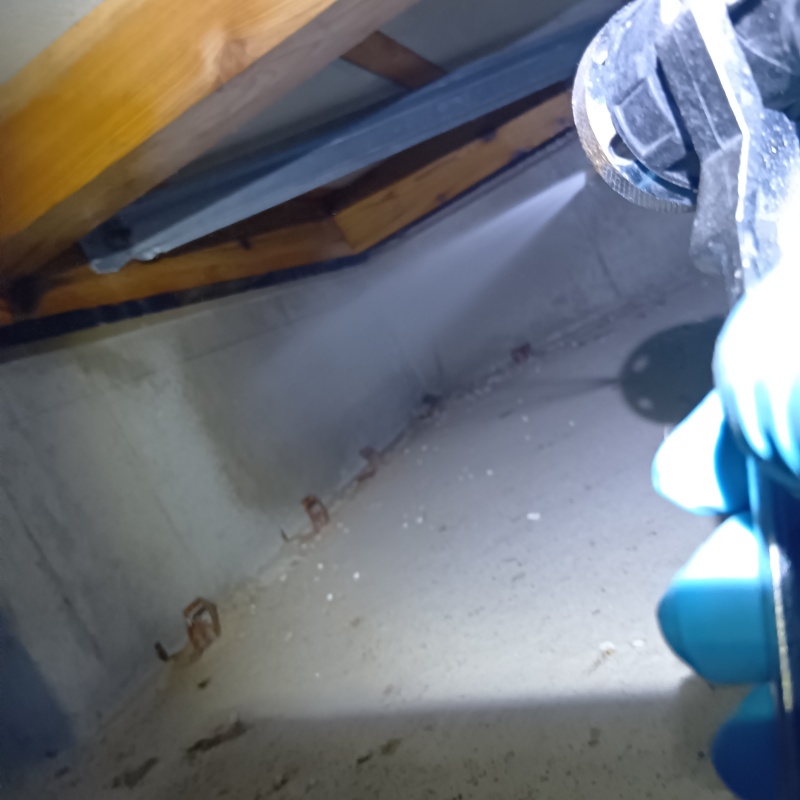 基礎にシロアリ駆除剤を散布