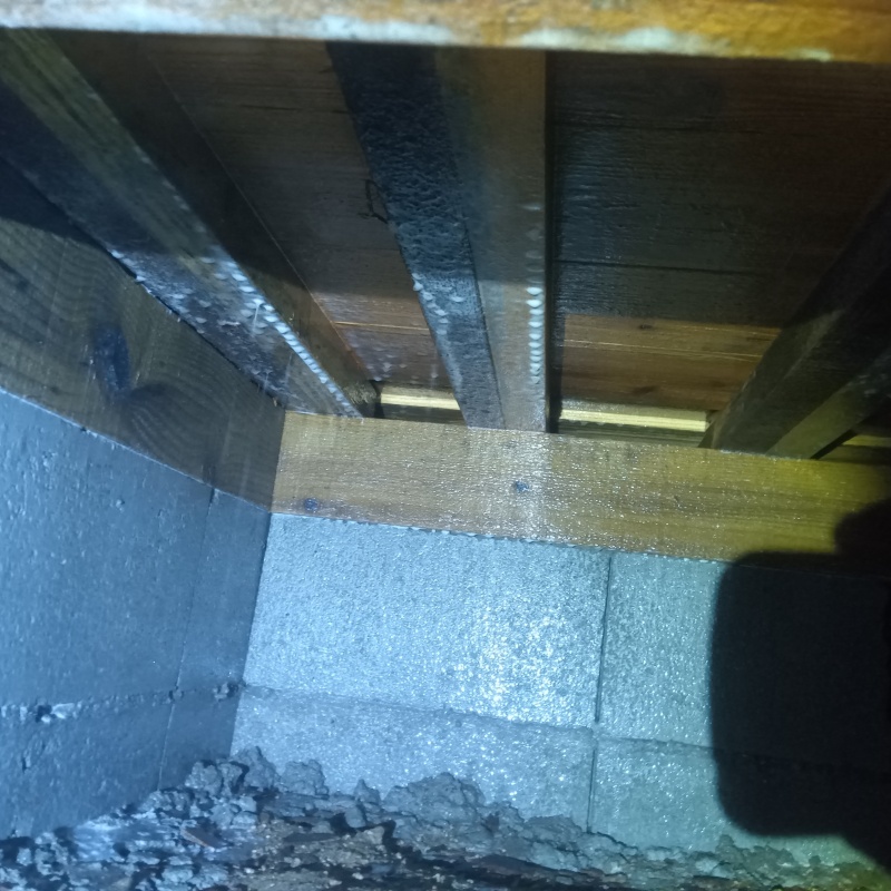 床下の基礎に防蟻剤を散布