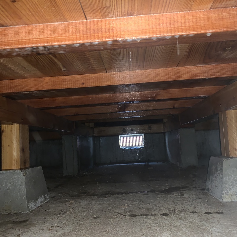築年数30年のシロアリ駆除の施工事例（愛知県豊田市池田町）