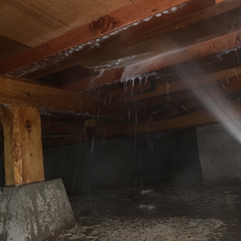 床下の木部にシロアリ駆除剤を散布