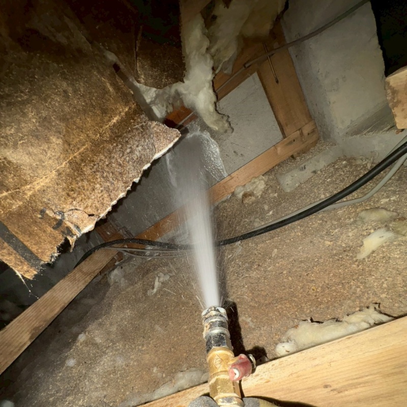 床下の基礎に防蟻剤を散布