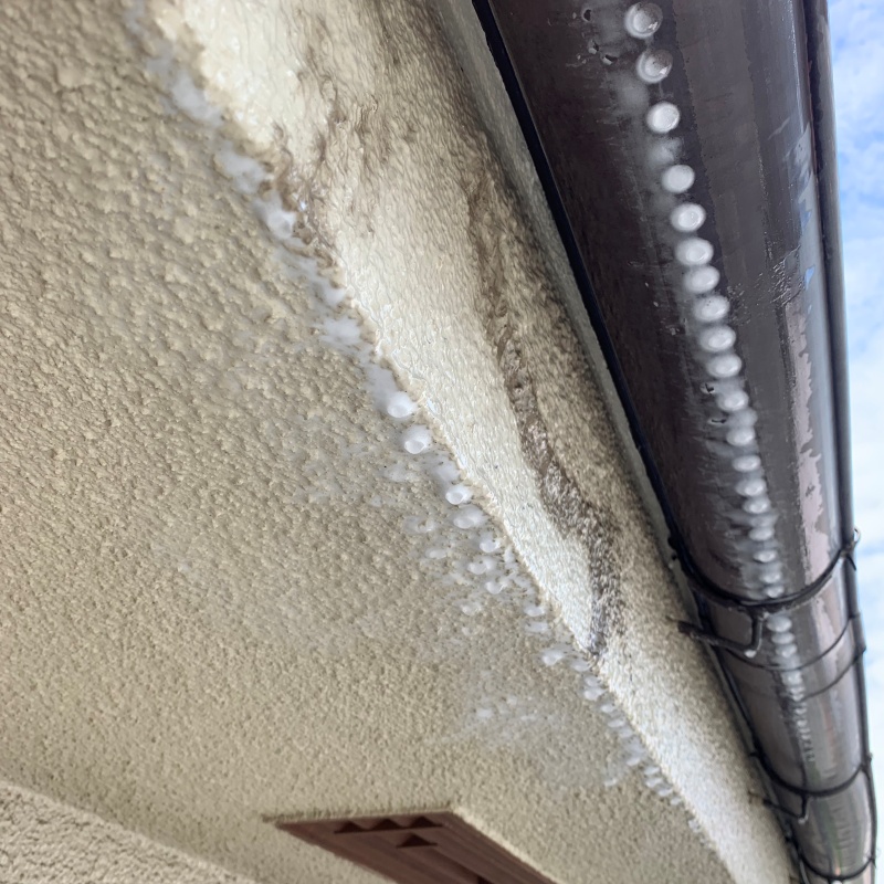 築年数50年のシロアリ駆除の施工事例（鹿児島県鹿児島市荒田）