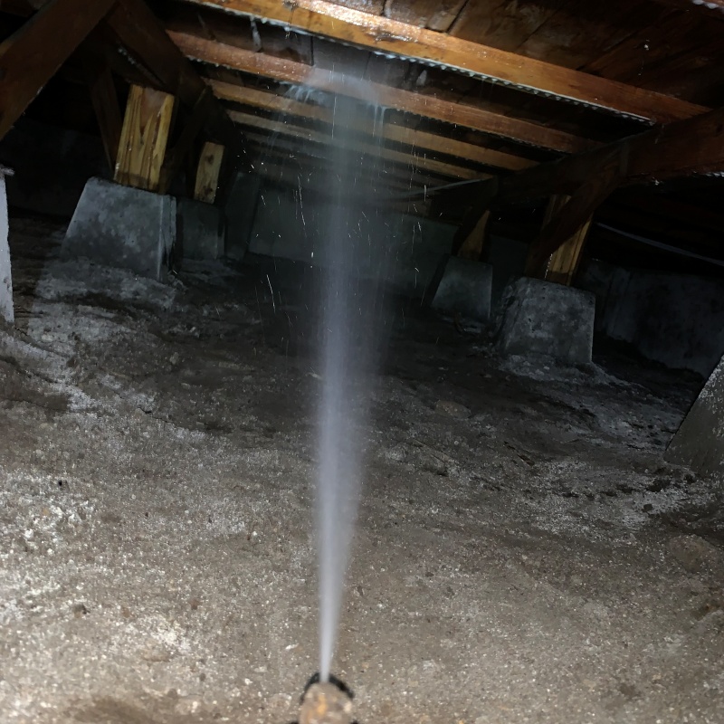 床下の木部にシロアリ駆除剤を散布