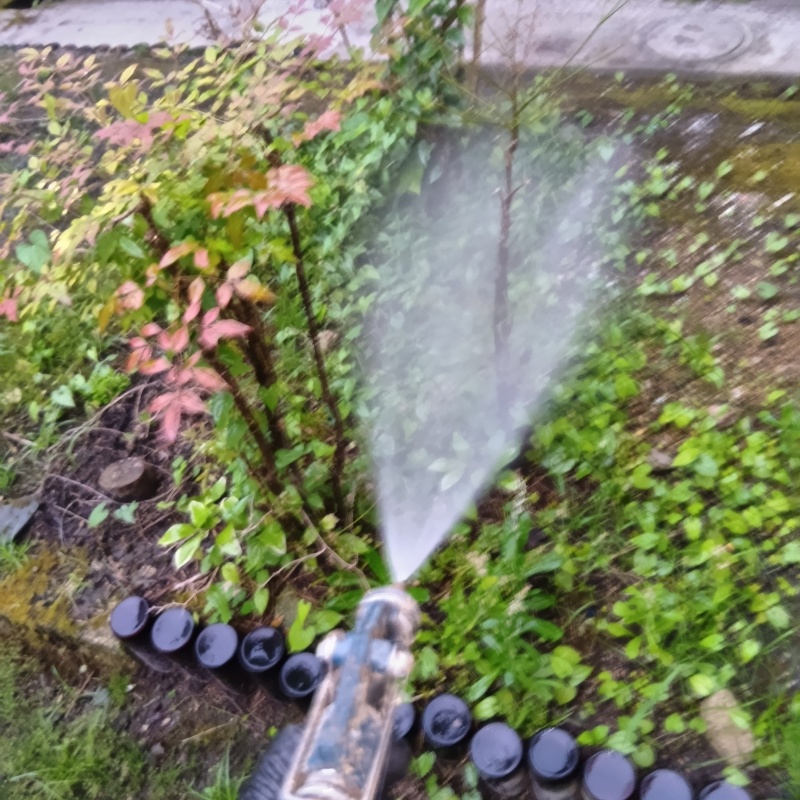 庭の草木・土壌にシロアリ駆除剤を散布