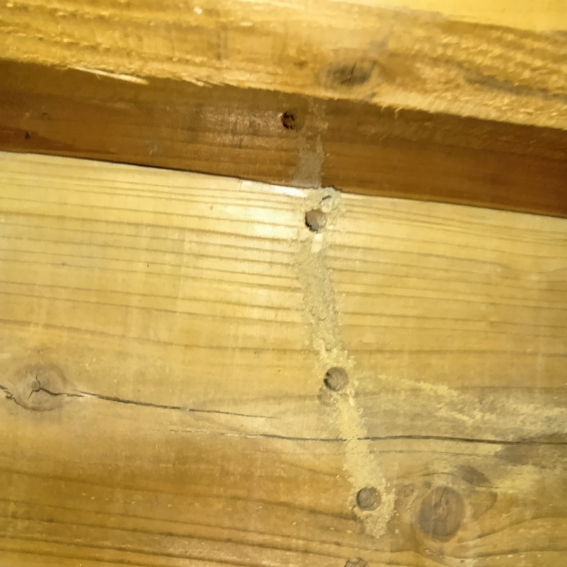 築年数50年のシロアリ駆除の施工事例（熊本県八代市三江湖町）