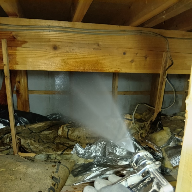 床下の基礎にシロアリ駆除剤を散布