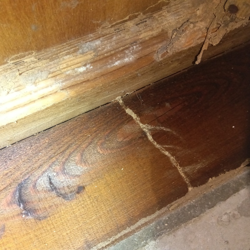 築年数30年のシロアリ駆除の施工事例（滋賀県高島市マキノ町白谷）