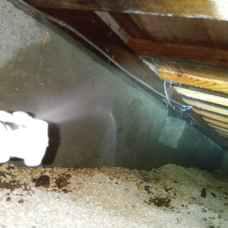 床下の基礎にシロアリ駆除剤を散布