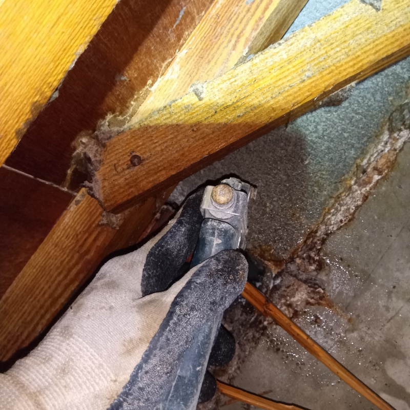 コンクリートにシロアリ駆除剤を注入