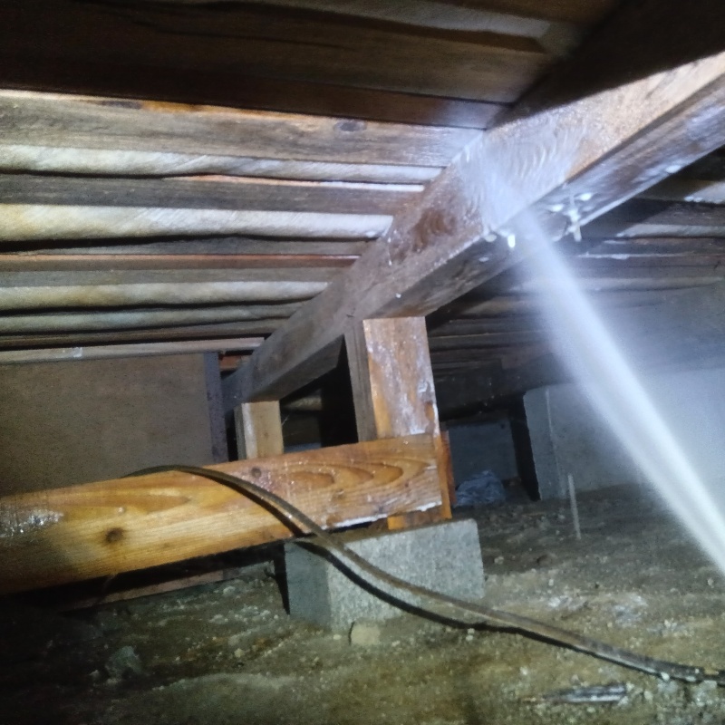 床下の木部にシロアリ駆除剤を散布