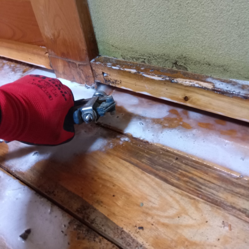 室内の木材にシロアリ駆除剤を注入