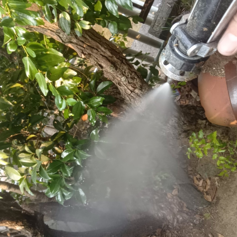 庭の草木や土壌に防蟻剤を散布