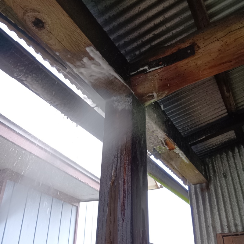 物置小屋の木部にシロアリ駆除剤を散布