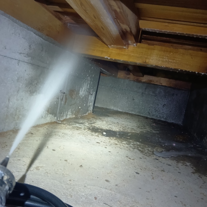 床下の木部にシロアリ駆除剤を散布