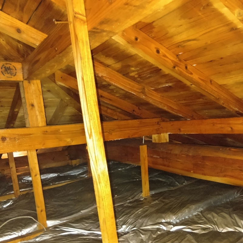 築年数36年のシロアリ駆除の施工事例（熊本県上益城郡益城町馬水）