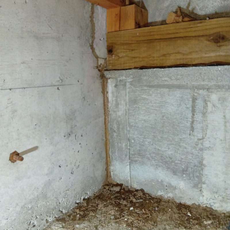 築年数30年のシロアリ駆除の施工事例（宮崎県日南市大堂津）