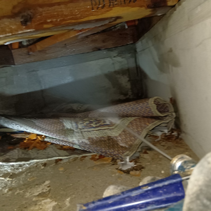 床下の地面にシロアリ駆除剤を散布