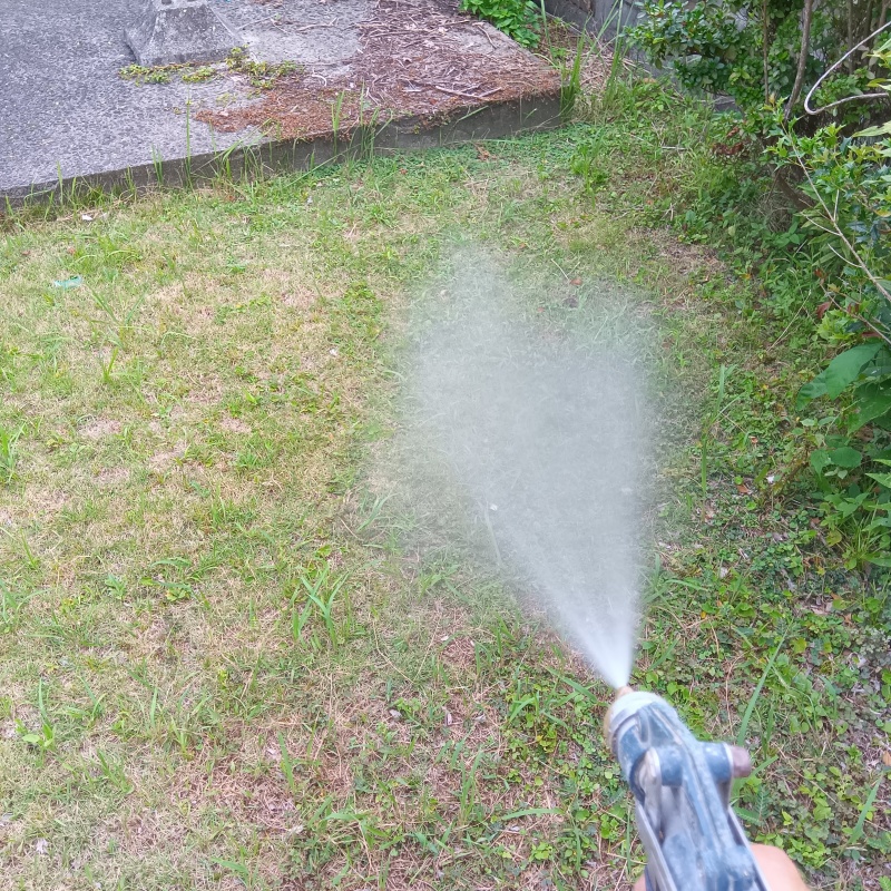 庭の芝生に防蟻剤を散布