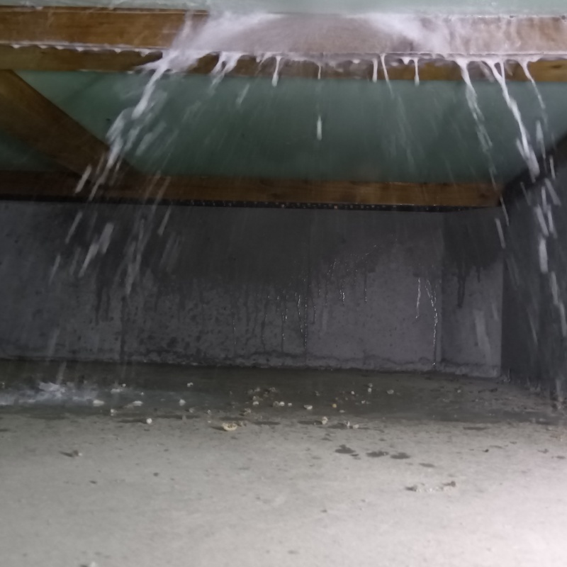 床下の木部にシロアリ駆除剤を散布