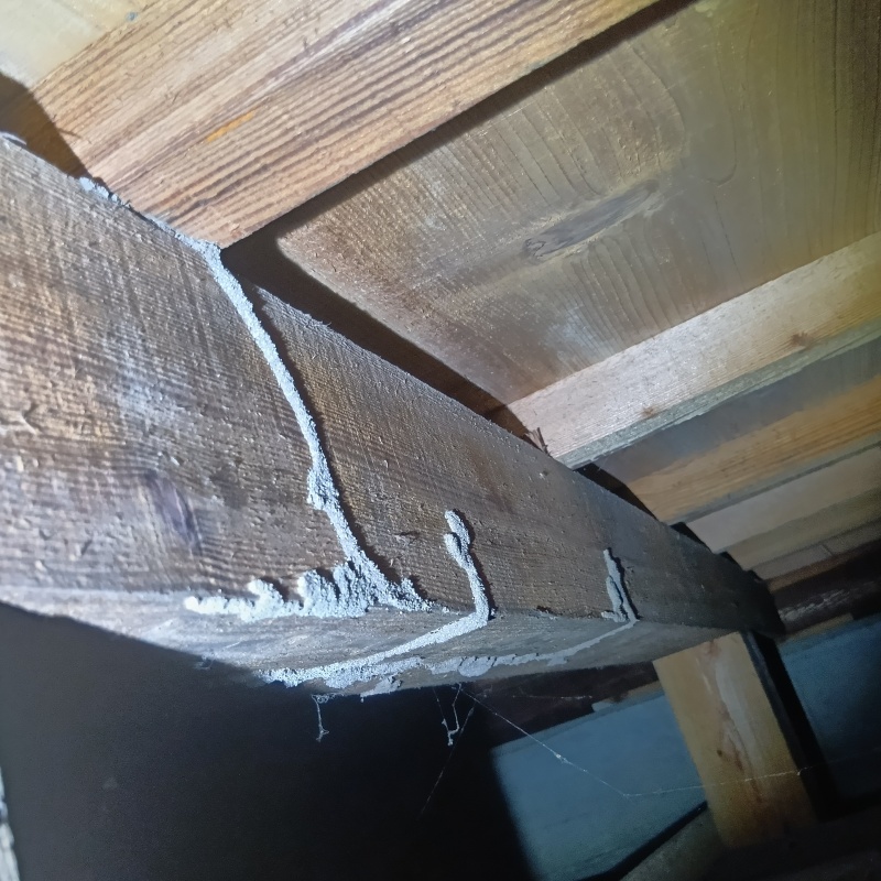 築年数40年のシロアリ駆除の施工事例（福井県越前市四郎丸町）