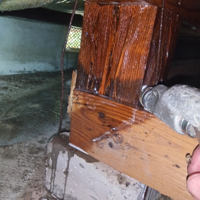 床下の木部にシロアリ駆除剤を散布
