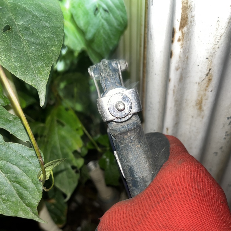 草木のまわりにシロアリ駆除剤を散布