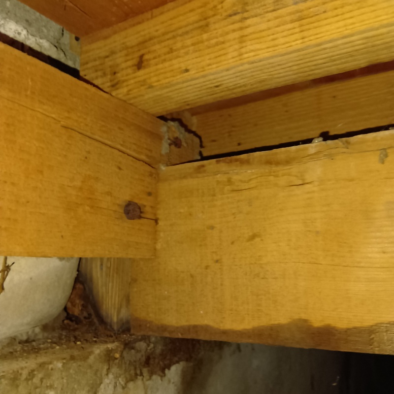 築年数45年のシロアリ駆除の施工事例（香川県高松市一宮町）